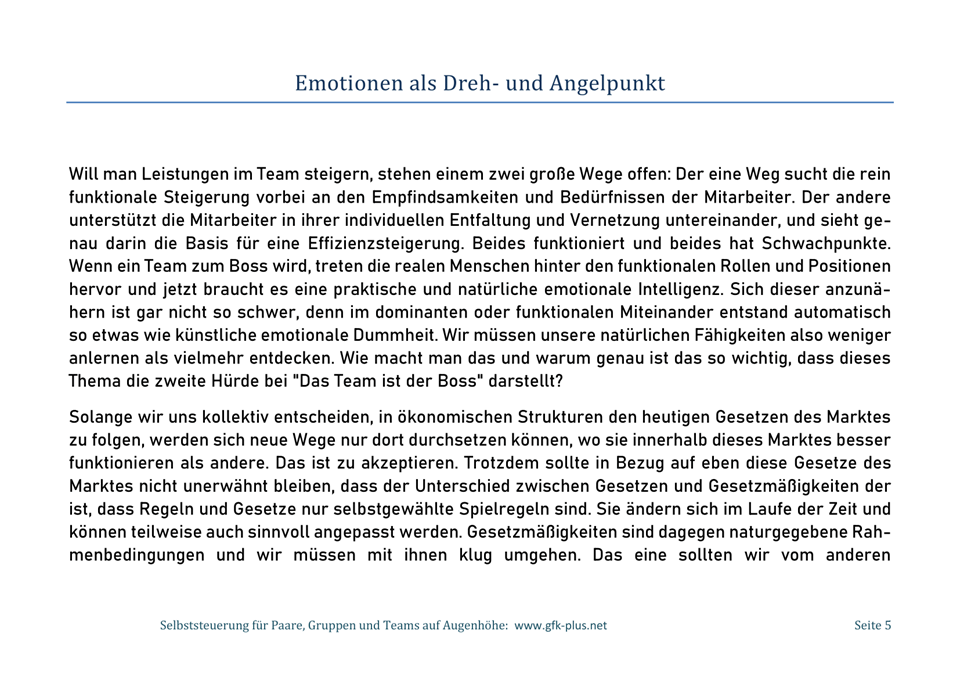 Ebook - Emotionen als Dreh- und Angelpunkt -05