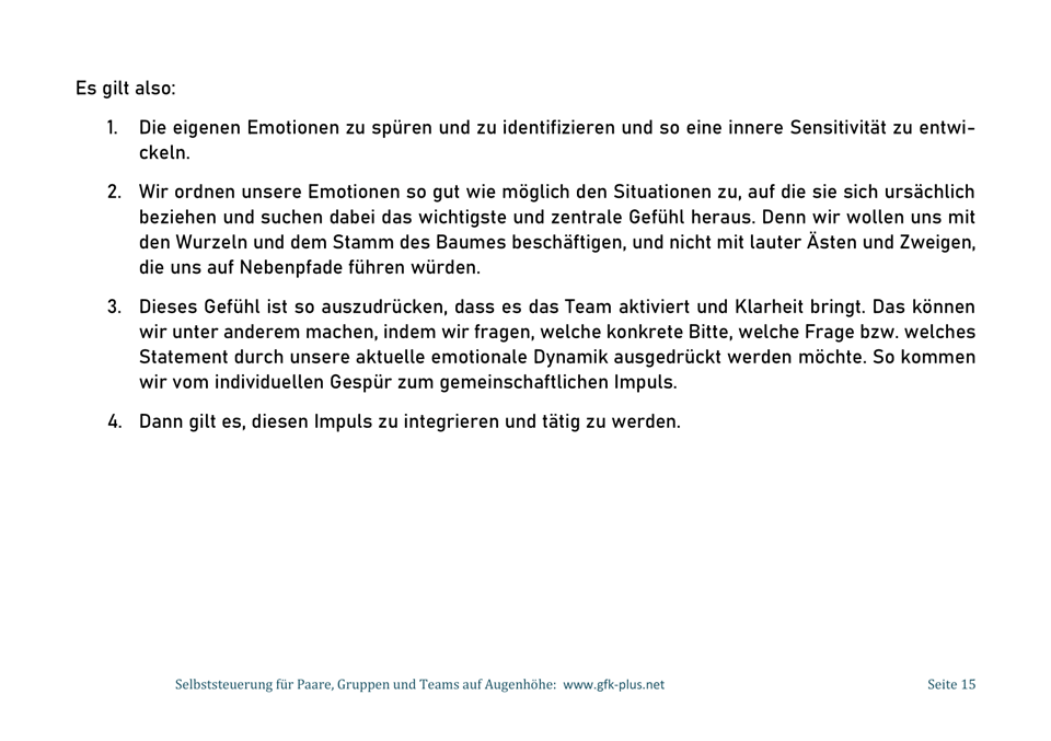 Ebook - Emotionen als Dreh- und Angelpunkt -15