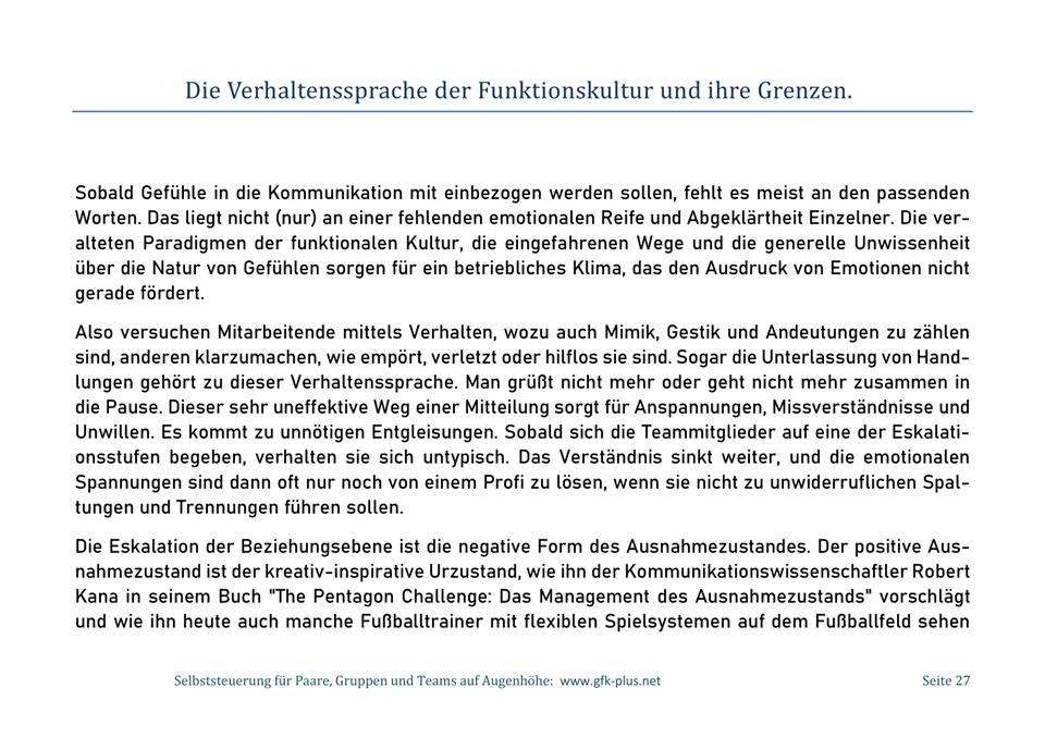 Ebook - Emotionen als Dreh- und Angelpunkt -27