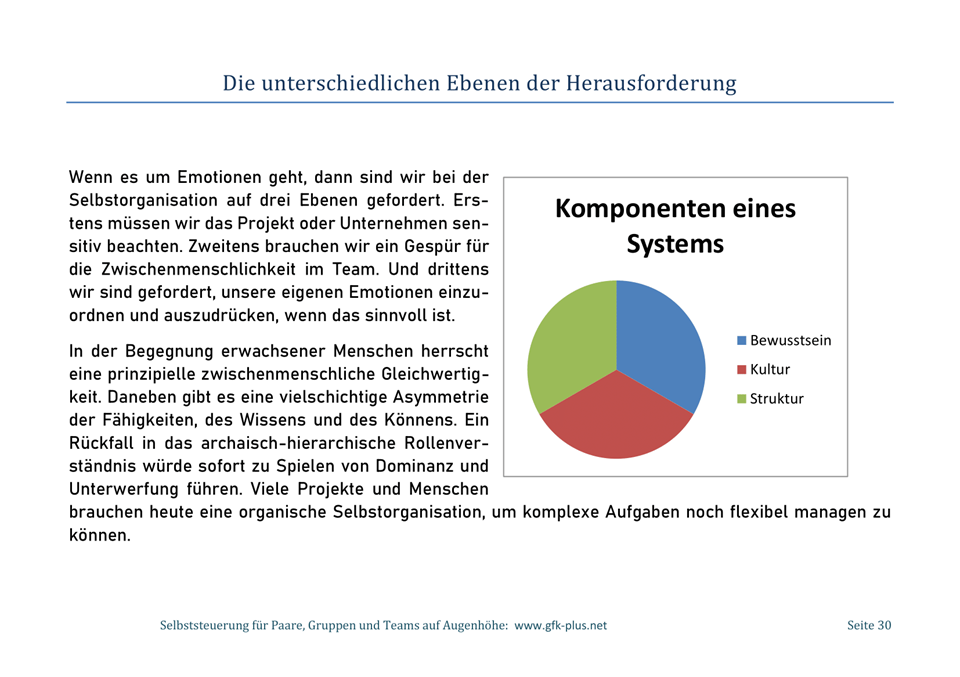 Ebook - Emotionen als Dreh- und Angelpunkt -30
