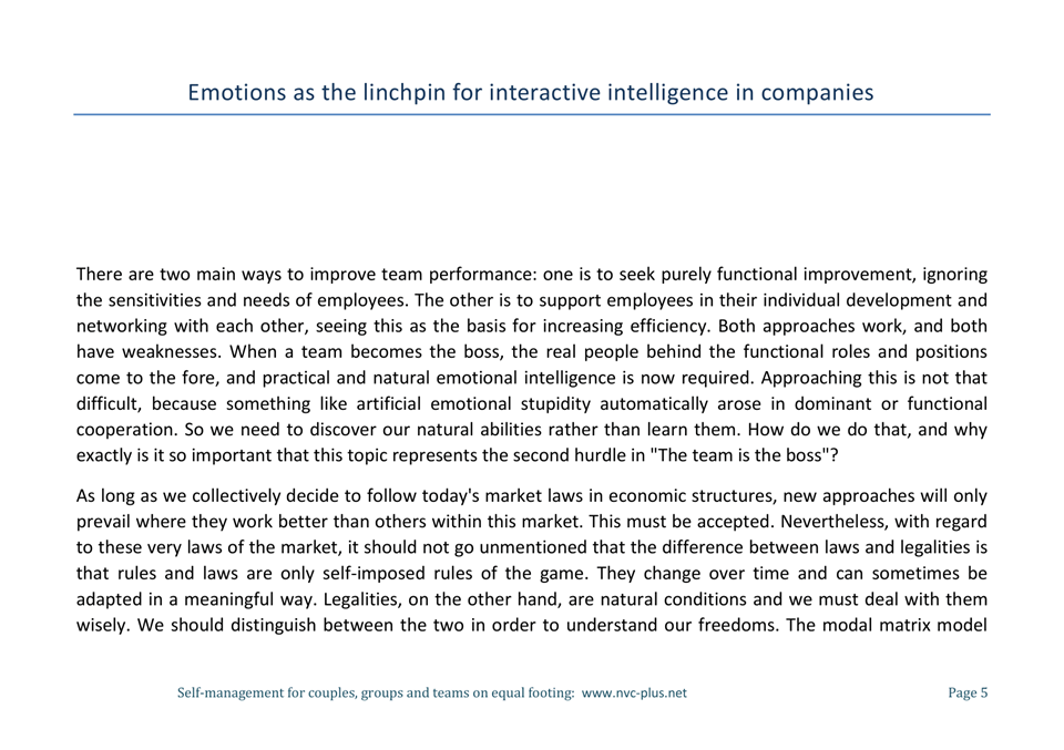 Ebook - Emotions as the linchpin for interactive intelligence in companies-05