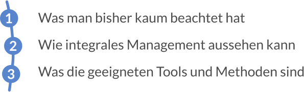 Was man bisher kaum beachtet hat Wie integrales Management aussehen kann Was die geeigneten Tools und Methoden sind  1 2 3
