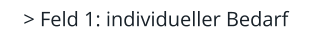 > Feld 1: individueller Bedarf