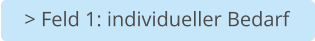 > Feld 1: individueller Bedarf