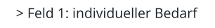 > Feld 1: individueller Bedarf
