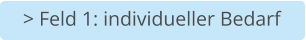 > Feld 1: individueller Bedarf